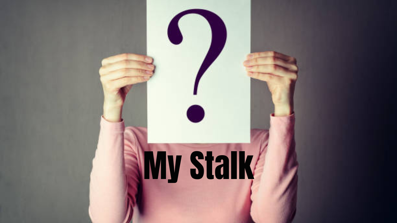 My Stalk