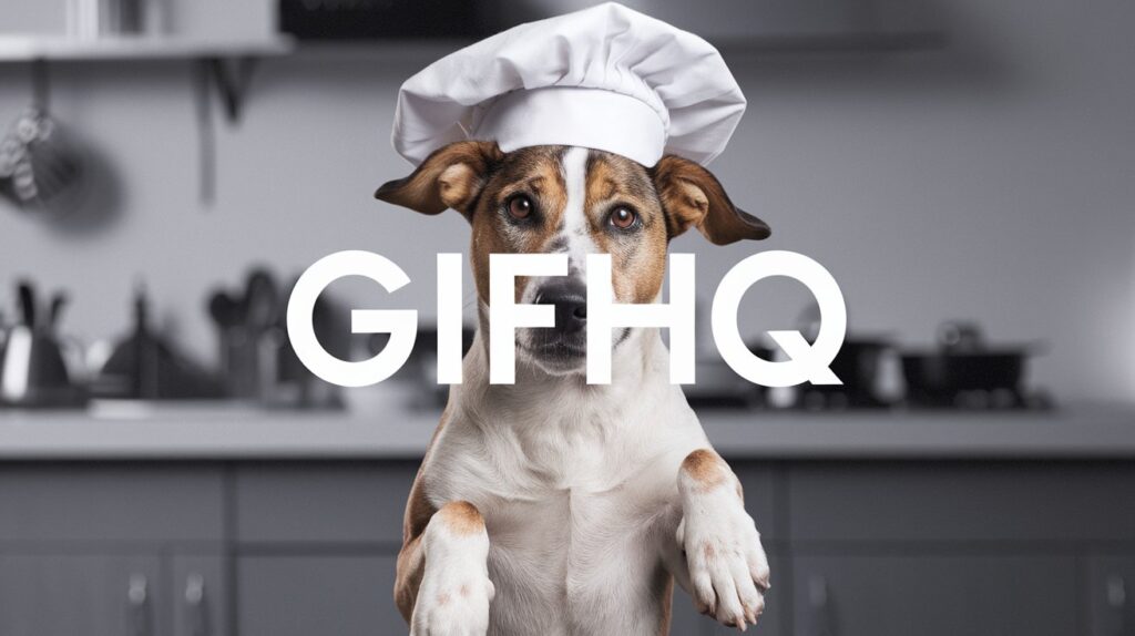 Everything You Need to Know About gifhq