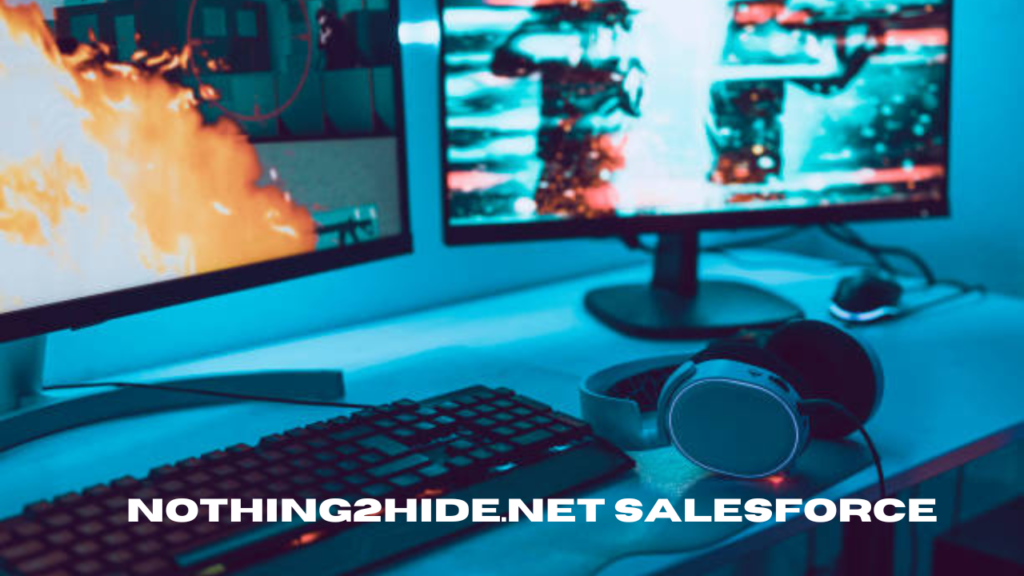 nothing2hide.net salesforce