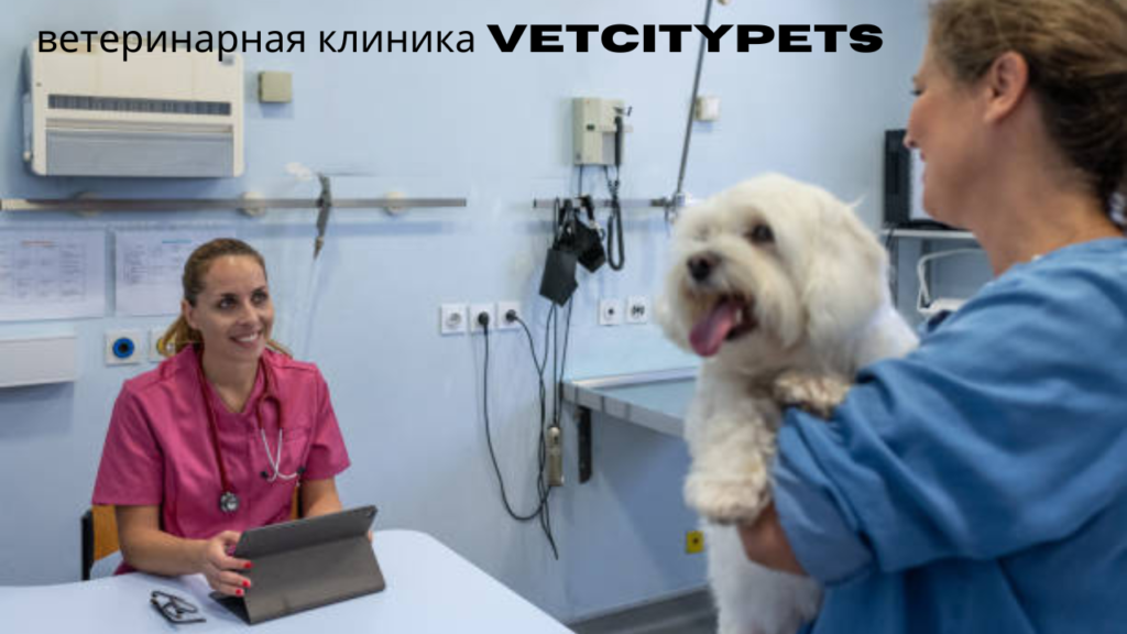 ветеринарная клиника VetCityPets