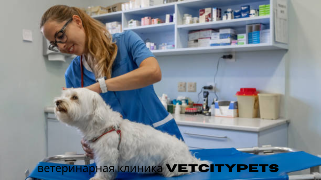 ветеринарная клиника VetCityPets