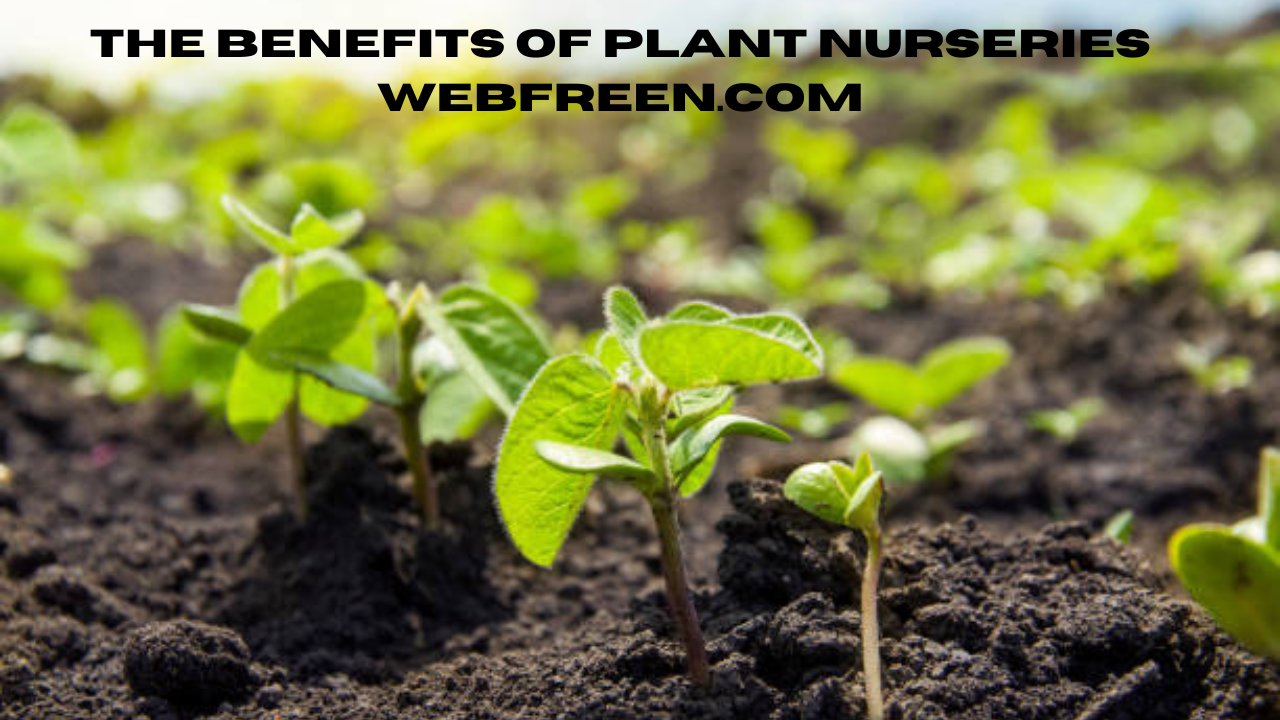 the benefits of plant nurseries webfreen.com