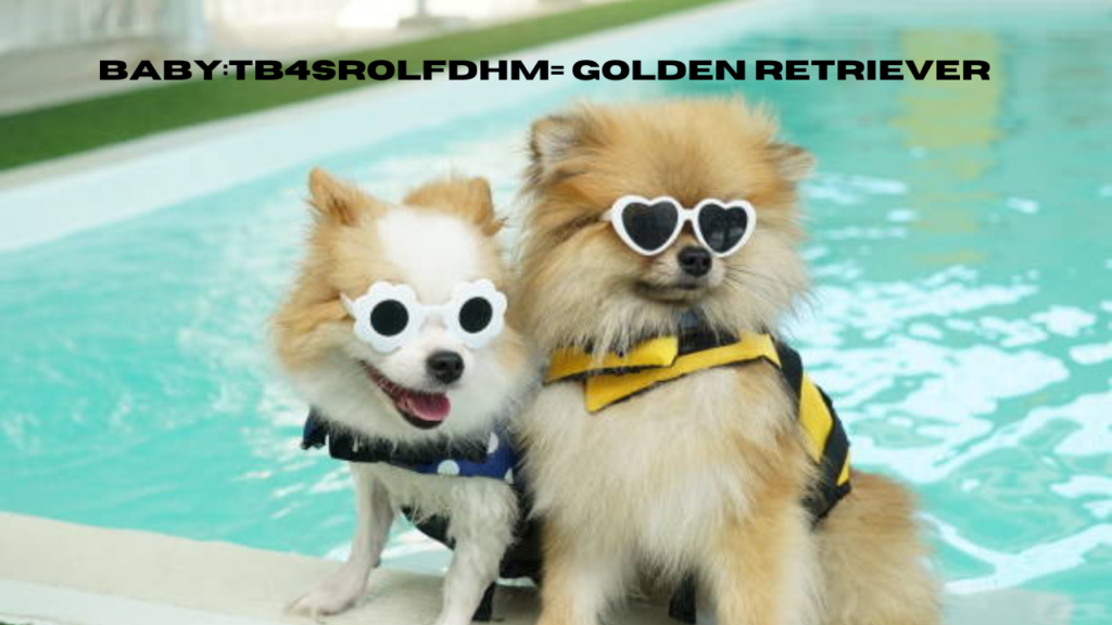 baby:tb4srolfdhm= golden retriever