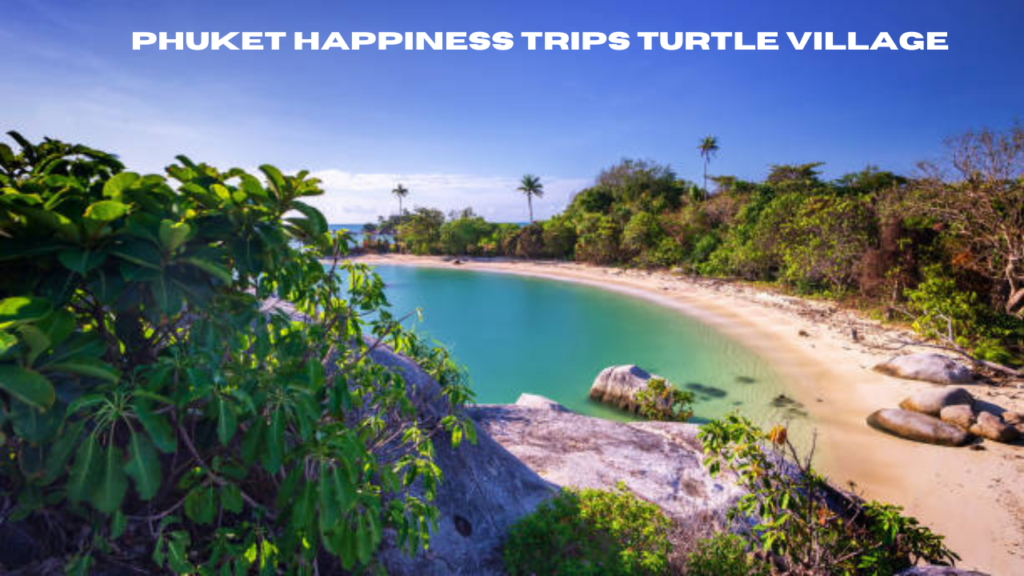 phuket happiness trips turtle village