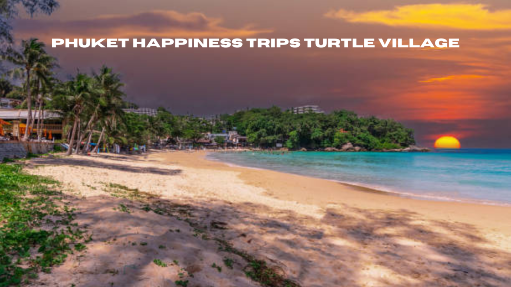 phuket happiness trips turtle village