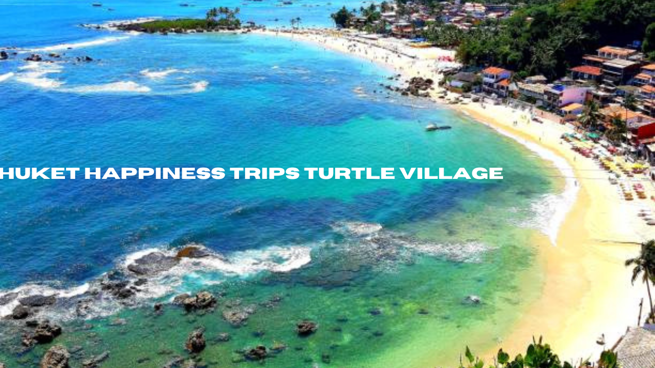 phuket happiness trips turtle village