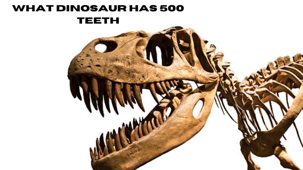 what dinosaur has 500 teeth