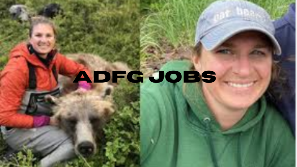 adfg jobs