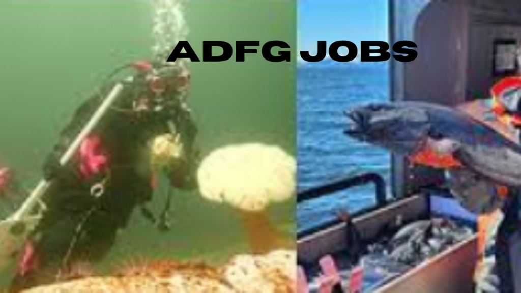 adfg jobs